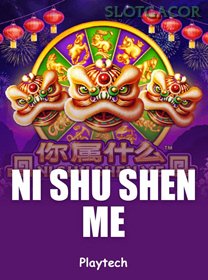 Ni Shu Shen Me game cover